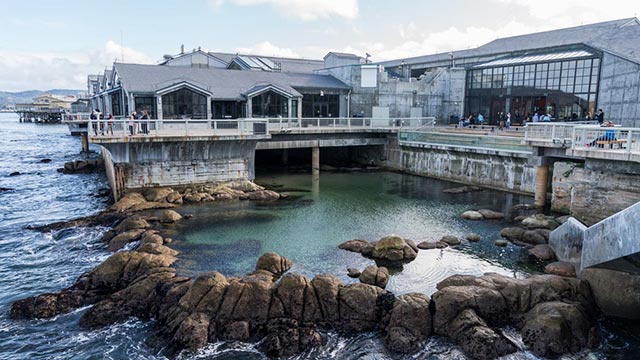 Monterey Bay Aquarium