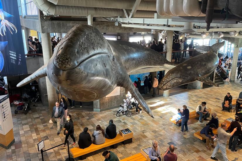 Monterey Bay Aquarium