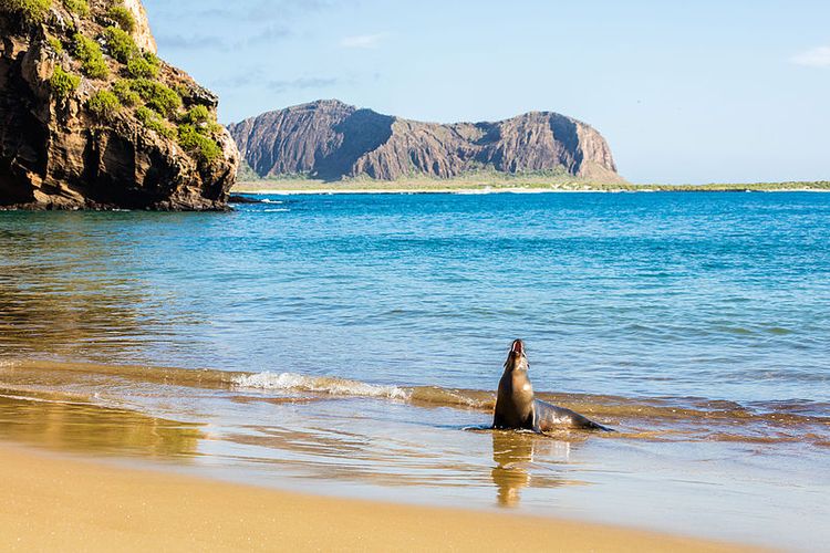 Kepulauan Galapagos