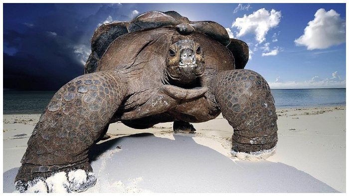 Kepulauan Galapagos
